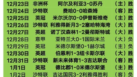 《足球新篇章！热菲尼奥领衔，五大球星加盟辽宁铁人，激情启航新赛季》