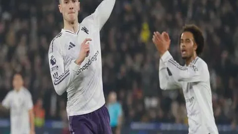 法罗甲数据揭示：大乐透期号专家质合推荐分析